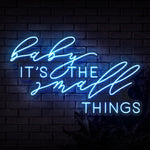 Baby It's The Small Things Neon Sign