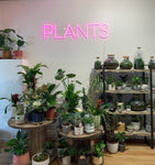 Plants Neon Sign