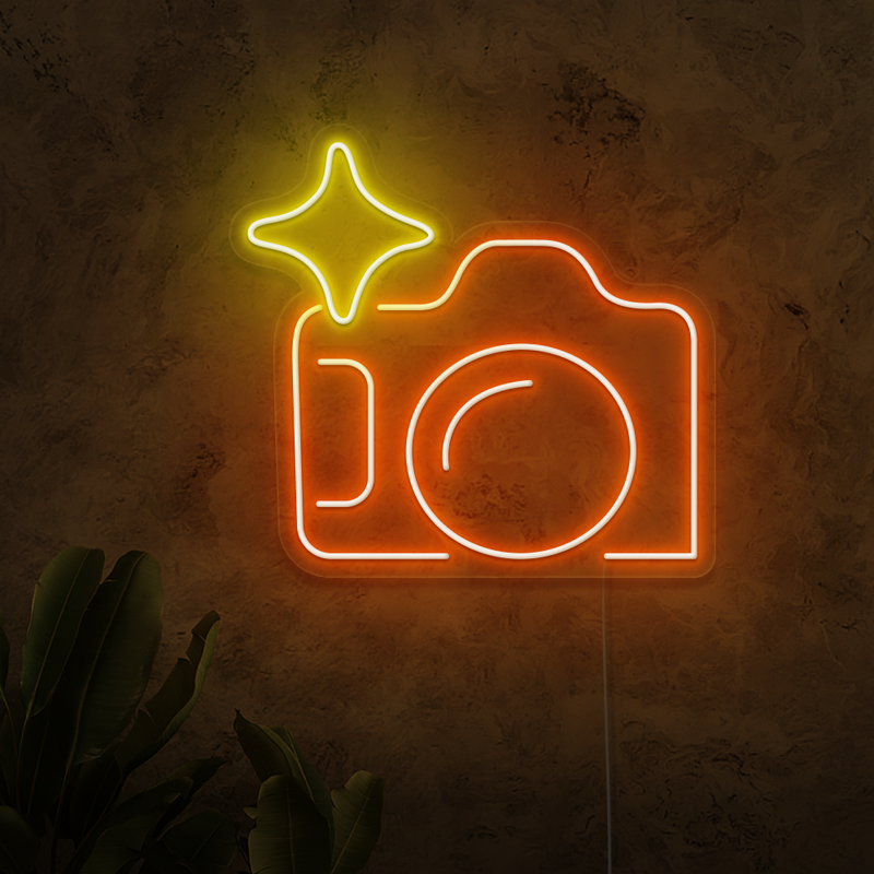 Camera Neon Sign